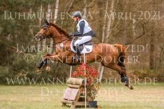 Plinius xx 3 Lia MAZUR