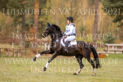 Ruby's Sunrise Jule KRUEGER