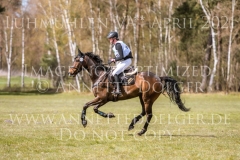 Campinas 3 Aline STAHN