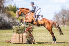 D'j. vu 7 Svenja ECKERT