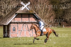 Hello Sofia Finn STROEBEL