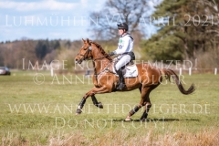 Hello Sofia Finn STROEBEL