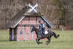 Foxcon Libussa LUEBBEKE