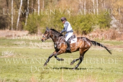 Indy Pop Elmar LESCH