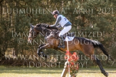 Indy Pop Elmar LESCH