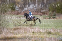 Idefix von Gallien Maj-Jonna ZIEBELL