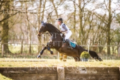 Hannibal's Revenge Franziska ARP