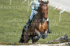 Don Quijote B Desiree SCHMIDT