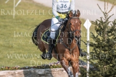 Don Quijote B Desiree SCHMIDT