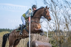 Don Quijote B Desiree SCHMIDT