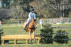 Cinnamon Red Josephine SCHNAUFER-VOELKEL