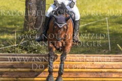 Planter's Punch H Falk-Filip-Finn WESTERICH