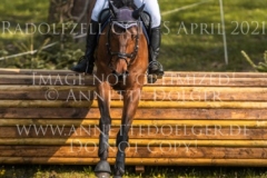 Planter's Punch H Falk-Filip-Finn WESTERICH