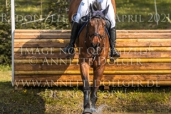 Planter's Punch H Falk-Filip-Finn WESTERICH