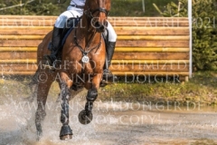 Planter's Punch H Falk-Filip-Finn WESTERICH