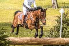 Isselhook's Iroko Kerstin HAEUSERMANN