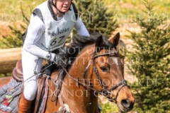 Isselhook's Iroko Kerstin HAEUSERMANN