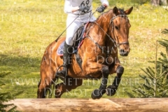 Madjarin den Tip Amelie COLSMAN