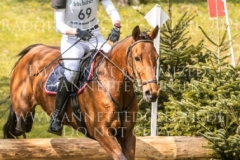 Madjarin den Tip Amelie COLSMAN