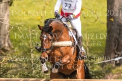 Rousseaus Mademoiselle Lisa SELKER