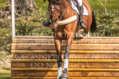 Rousseaus Mademoiselle Lisa SELKER