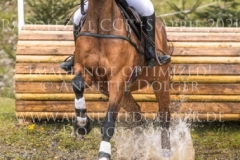 Travenorts Lucio Nele SPIERING