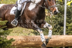 Lisa 1267 Gregor MIGAS