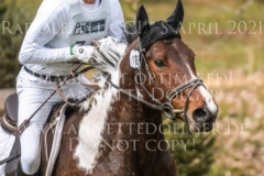 Lisa 1267 Gregor MIGAS