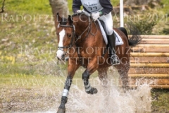 Satinka 6 Hans-Martin STEISSLINGER