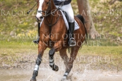 Satinka 6 Hans-Martin STEISSLINGER