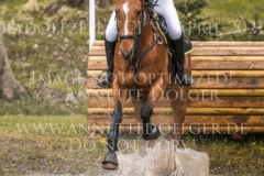 Fairy Tale B Desiree SCHMIDT