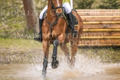 Fairy Tale B Desiree SCHMIDT