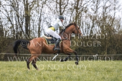 Fairy Tale B Desiree SCHMIDT