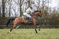 Fairy Tale B Desiree SCHMIDT