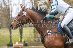 Savoi Col de Joly Angelika DUBACH