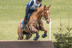 The Irish Factor Michelle DUERST