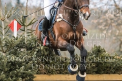 Horseware Nobleman Catharina DANNENMANN