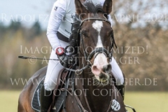 Carlson 114 Nicoletta MASSMANN