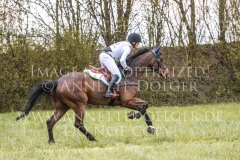 fischerChipmunk FRH Michael JUNG