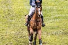 Viamant du Matz Sandra AUFFARTH