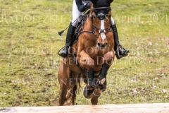 Viamant du Matz Sandra AUFFARTH