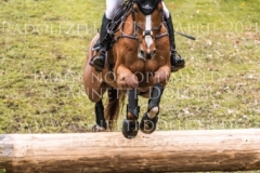 Viamant du Matz Sandra AUFFARTH