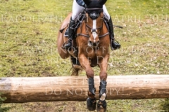 Viamant du Matz Sandra AUFFARTH