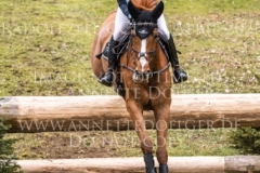 Viamant du Matz Sandra AUFFARTH