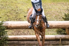 Viamant du Matz Sandra AUFFARTH