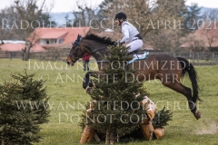 Highlighter Michael JUNG