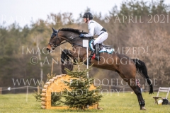 Highlighter Michael JUNG