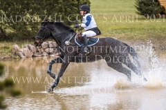 Caltra Western Beauty Tamara ACKLIN