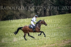 EQUISTROs Siena just do it Ingrid KLIMKE