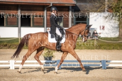 Viamant du Matz Sandra AUFFARTH